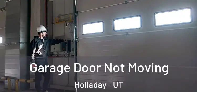  Garage Door Not Moving Holladay - UT