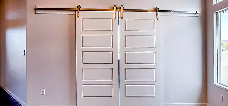 Glass Barn Door with Installation Hardware Kit Holladay