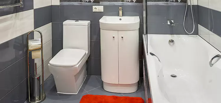 Hansgrohe Shaving Mirror Holladay